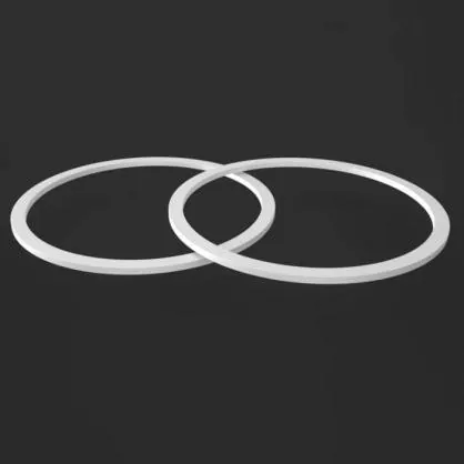 Cincin Sandaran PTFE